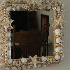 Shell Mirror